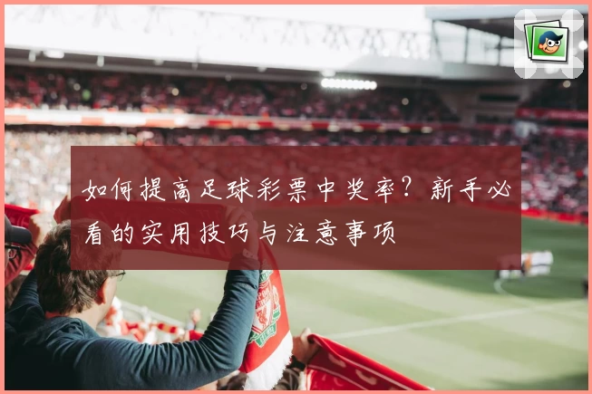如何提高足球彩票中奖率？新手必看的实用技巧与注意事项