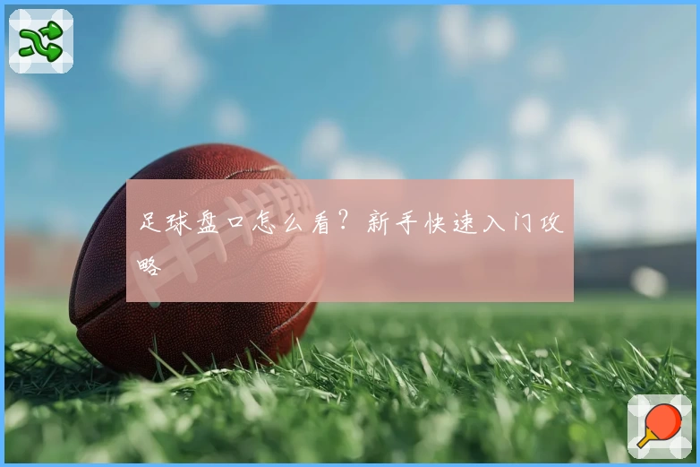 足球盘口怎么看？新手快速入门攻略