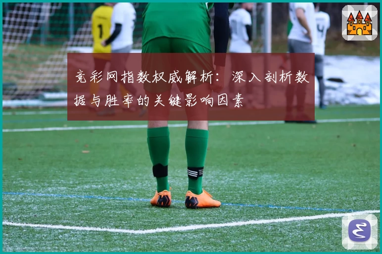 竞彩网指数权威解析：深入剖析数据与胜率的关键影响因素