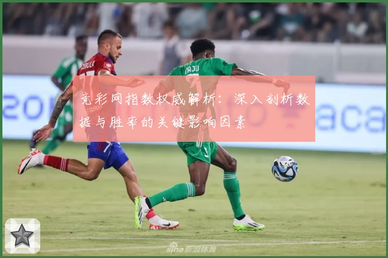 竞彩网指数权威解析：深入剖析数据与胜率的关键影响因素