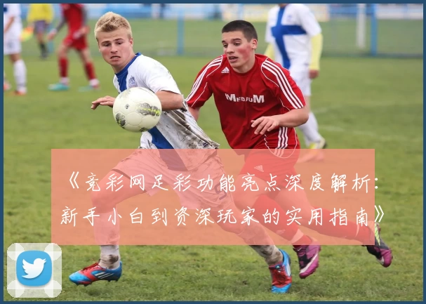 《竞彩网足彩功能亮点深度解析：新手小白到资深玩家的实用指南》