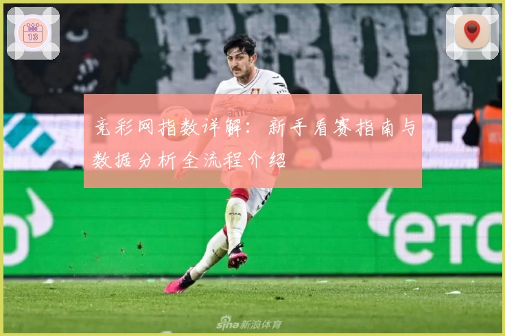 竞彩网指数详解：新手看赛指南与数据分析全流程介绍